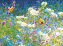 Cobble Hill Visite de la Prairie* Oiseaux|De 1 000 Pièces