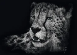 Schmidt Spiele Véloce – Le Guépard : Sous le Signe de la Grâce* Animaux Sauvages|De 1 000 Pièces