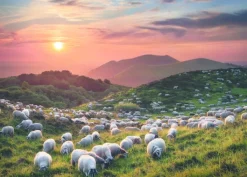 Heye Von Humboldt Alexander - Sheep and Volcanoes* Animaux De La Ferme|Montagnes