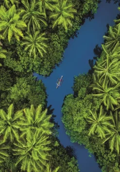 Clementoni Vue Aérienne Tropicale* Forêts, Fleurs Et Jardins|De 500 À 999 Pièces