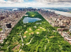 Nathan Vue sur Central Park* États-Unis Et Canada|Forêts, Fleurs Et Jardins