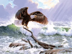 SunsOut Weirs Persis Clayton - Pièces XXL - Mer Majestueuse*Enfant Oiseaux|Plages Et Îles De Rêve