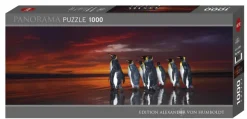 Heye Wim van den Heever - King Penguins* Panoramique|Animaux Sauvages