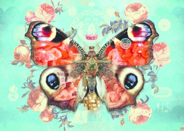 Heye Wings No. 3* De 1 000 Pièces|De 1 000 Pièces